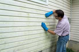 Best Siding Replacement  in Schnecksville, PA